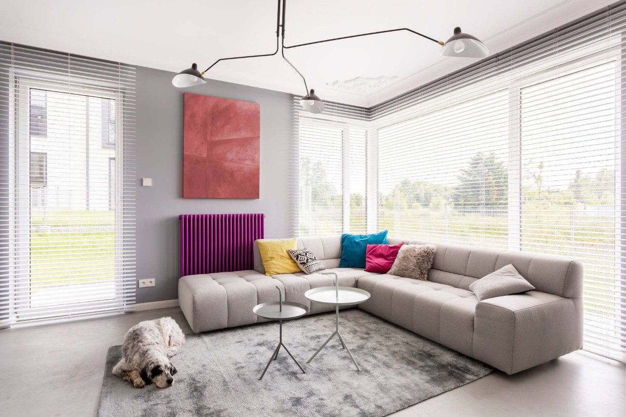 A living room with a dog lying on a rug and large windows covered by blinds at Blind Ambitions near Tulsa, OK
